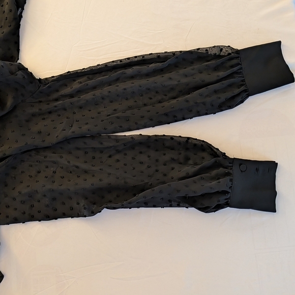 Altuzarra Swiss Dot Sheer Tie-Neck Flowy Elegant Timeless Black Sheer Blouse - Picture 6 of 13